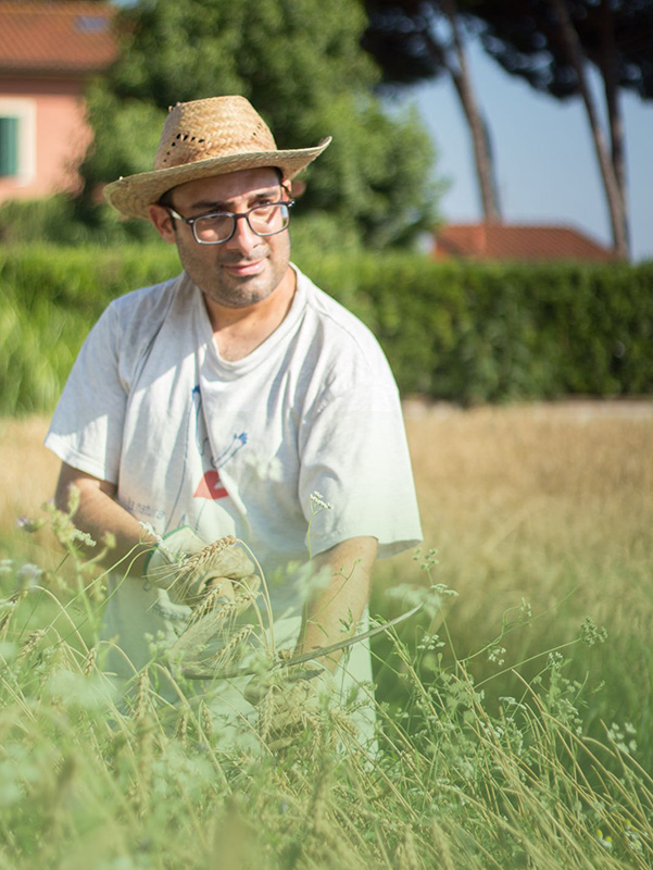 Dott. Agronomo Di Gioia