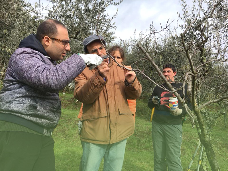 Fabio di Gioia Agronomo